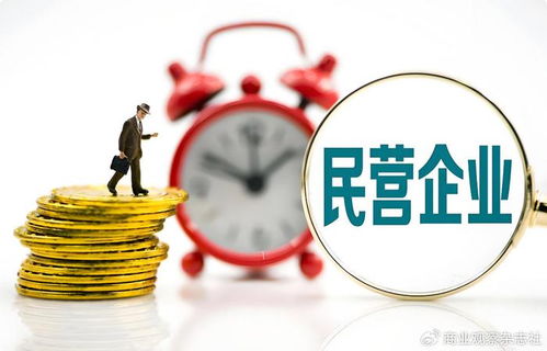 當(dāng)民營(yíng)企業(yè)遇見(jiàn)世界500強(qiáng) 以企業(yè)自有資金共繪“投資中國(guó)，共贏未來(lái)”新藍(lán)圖