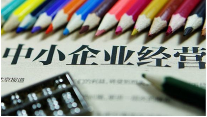 中小企業(yè)自有資金投資的特點(diǎn)與挑戰(zhàn)